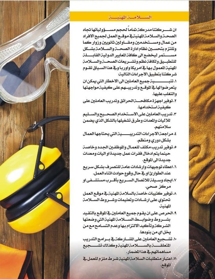 السلامة المهنية